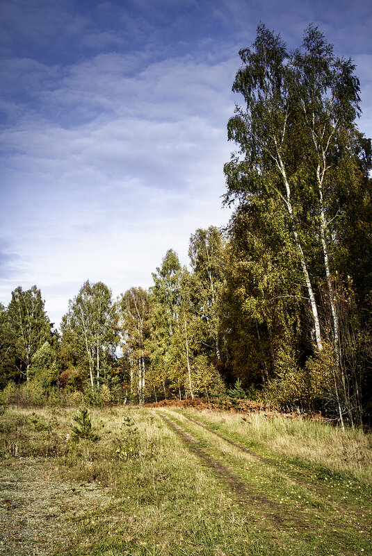 Осень. - Алексей Пышненко