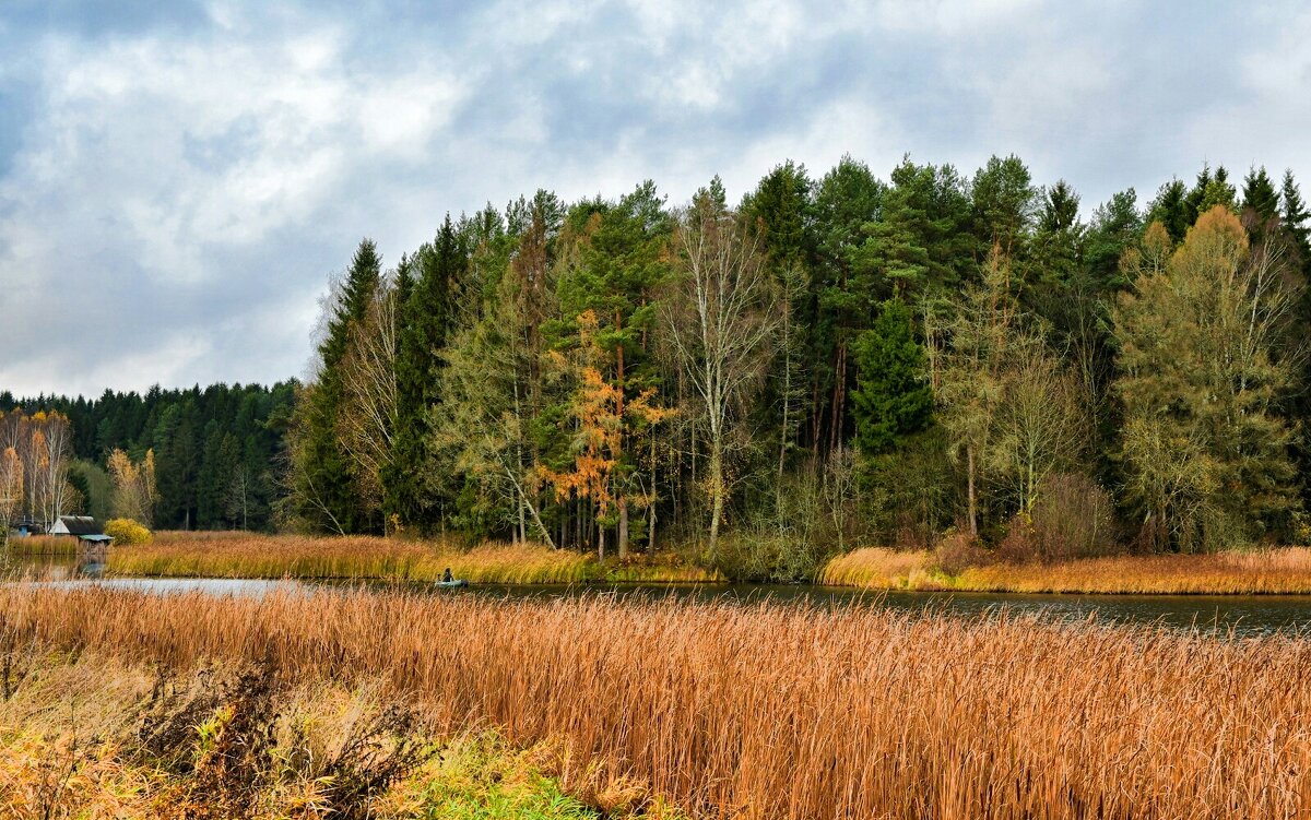 Осенний пейзаж. - Милешкин Владимир Алексеевич 
