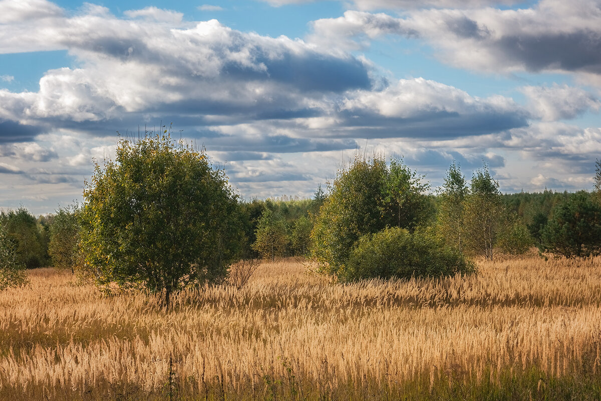 осенний день - Galina осенний день - Galina