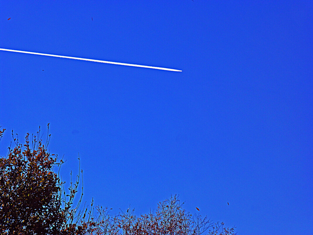 Над тайгой- самолет! - Владимир 