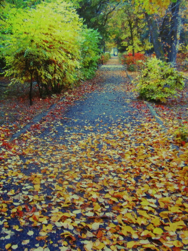 Осень в сквере - Людмила Смородинская