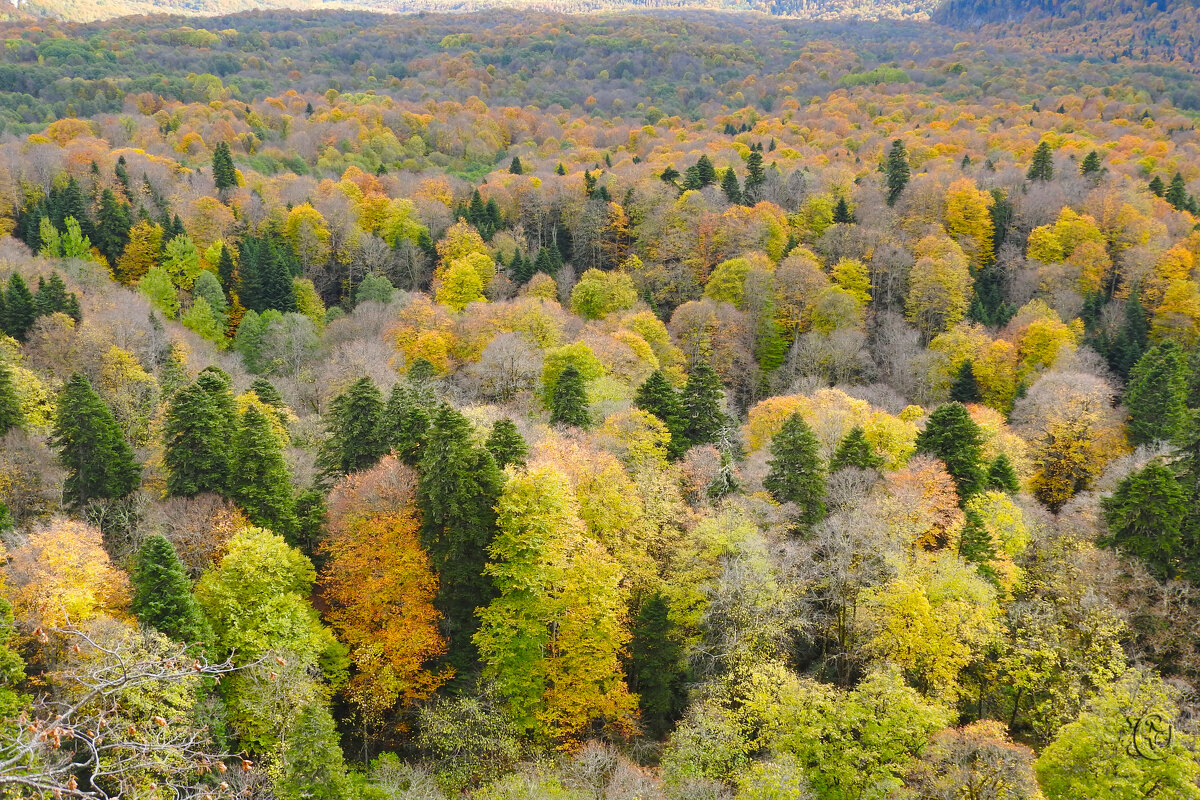 обзорная Азиштау - Юрий Словецкий