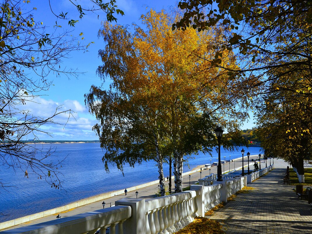 Чебоксары. Осенние берёзки на Московской набережной. - Пётр Чернега