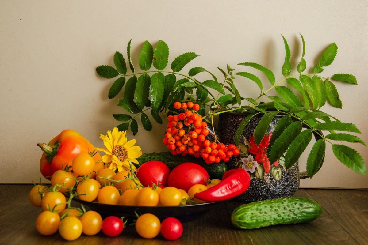 __ - Галина Ложечникова