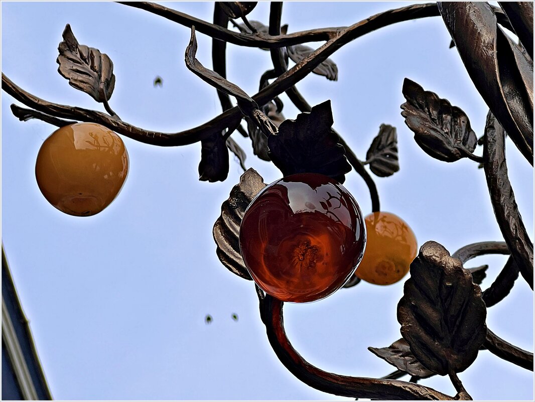 Янтарные яблочки. - Валерия Комова