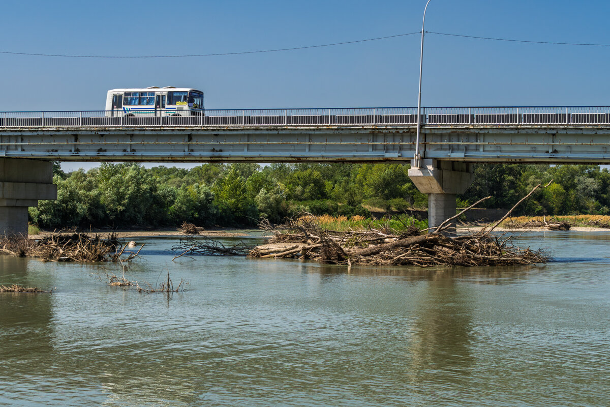 Река Кубань и деревья - Игорь Сикорский