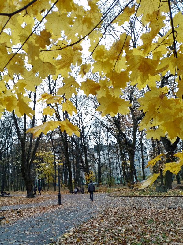 *** - Валентина Береснева