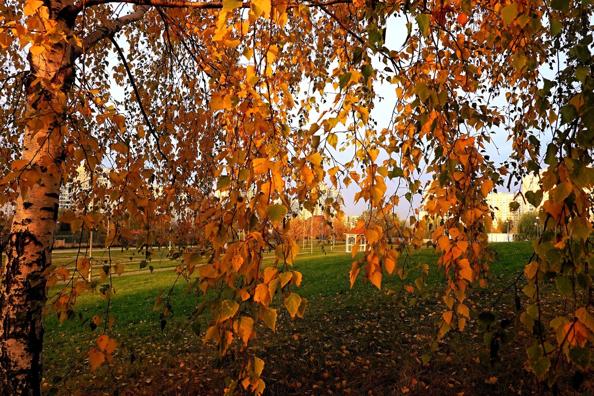 В осени есть что-то грустное и прекрасное одновременно. - Татьяна Помогалова
