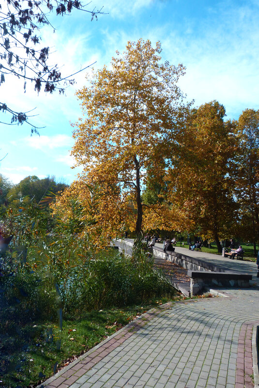 Осень золотая - Валентин Семчишин Осень золотая - Валентин Семчишин