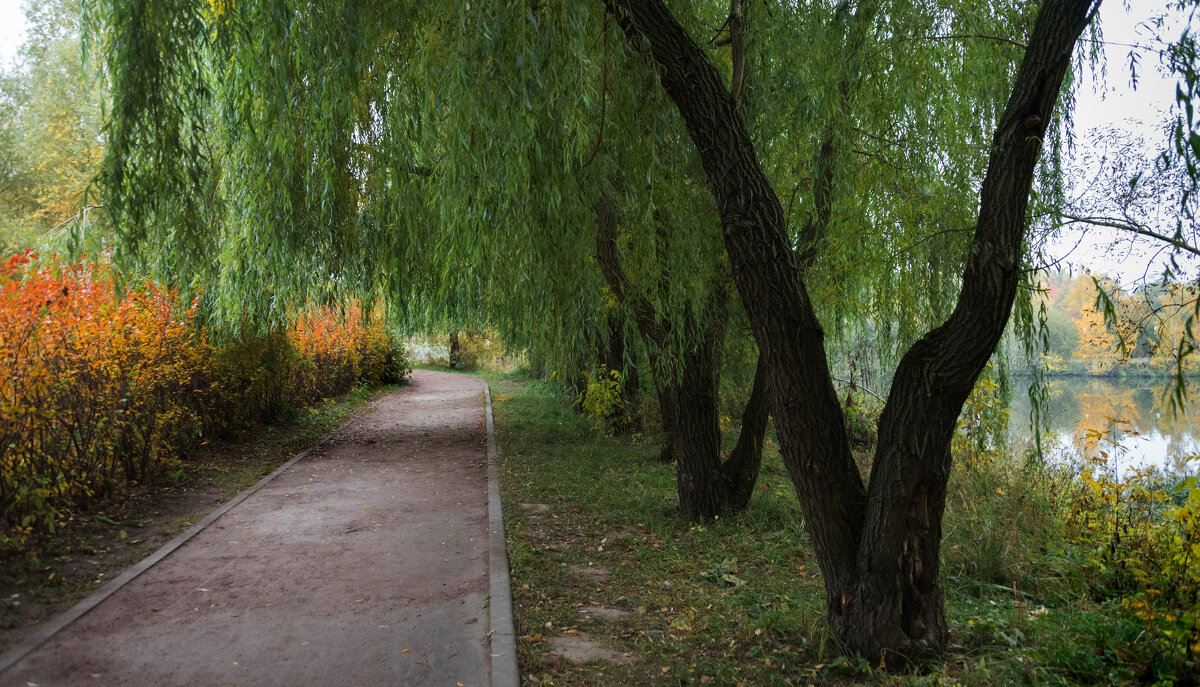 Парк. - Владимир Безбородов Парк. - Владимир Безбородов