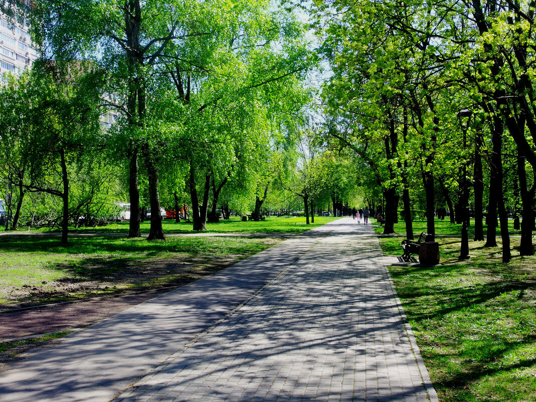 Волжский бульвар - Игорь Белоногов