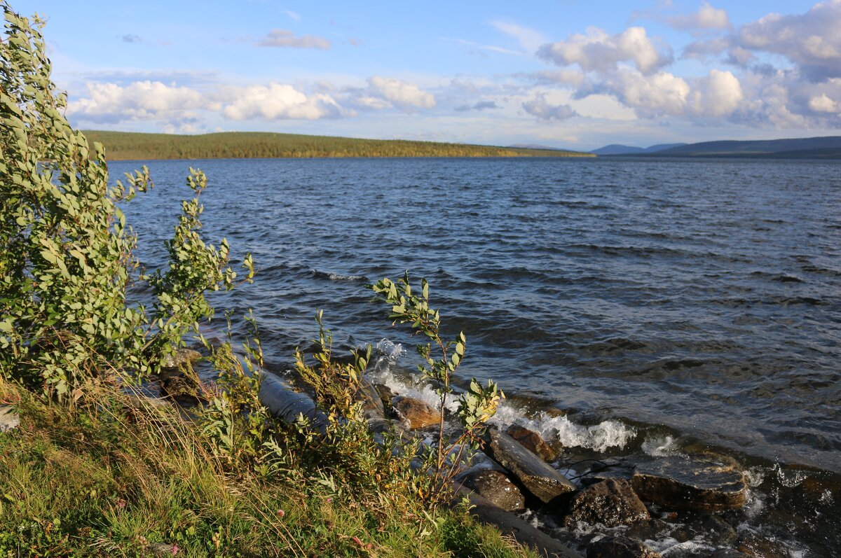 Пинозеро - Ольга 