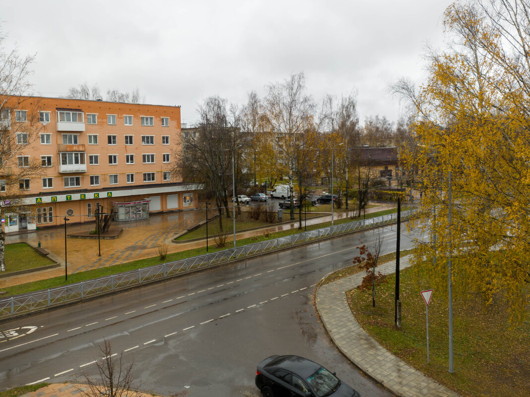 - - Сергей Зонов