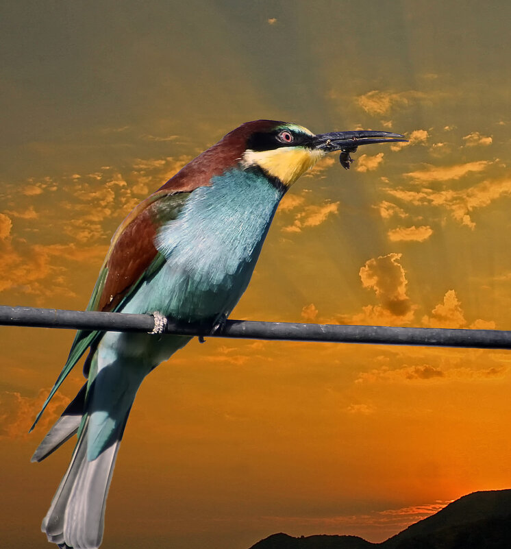 Вечерняя трапеза - Андроник Александр 