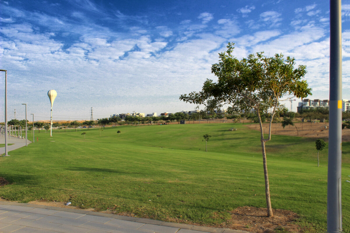 МОЛОДОЙ   ПАРК - Анатолий Малобродский