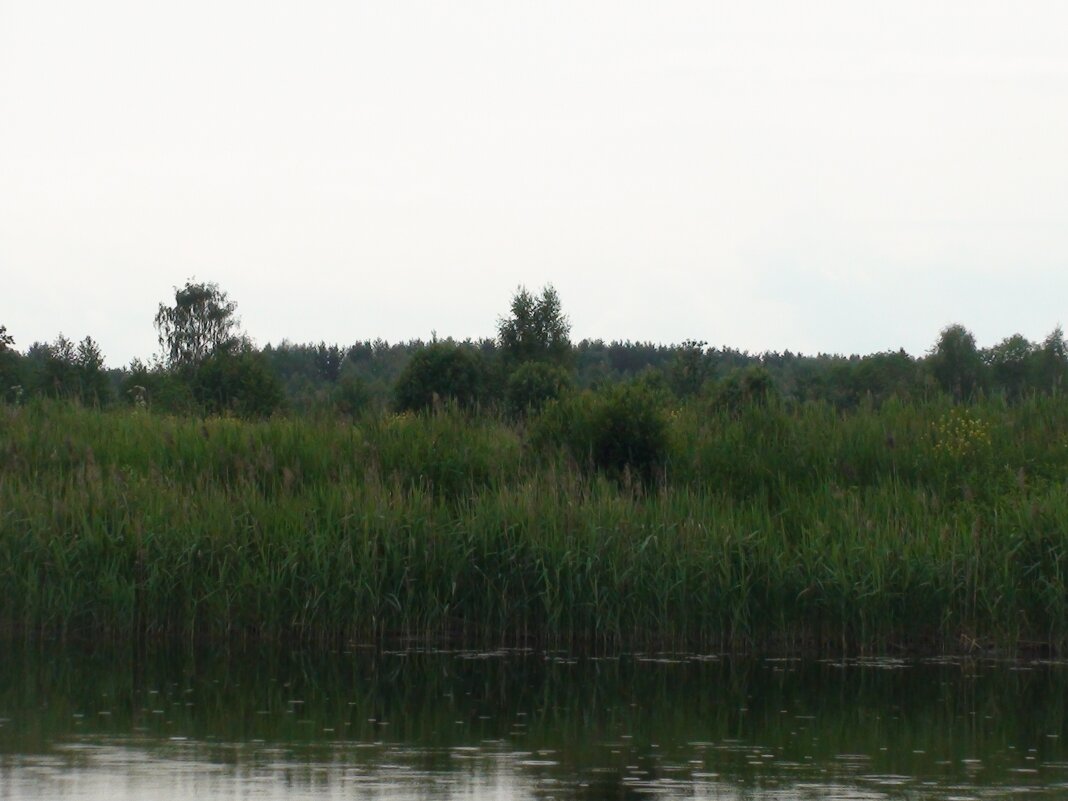 река Лама - fogmeadowww m