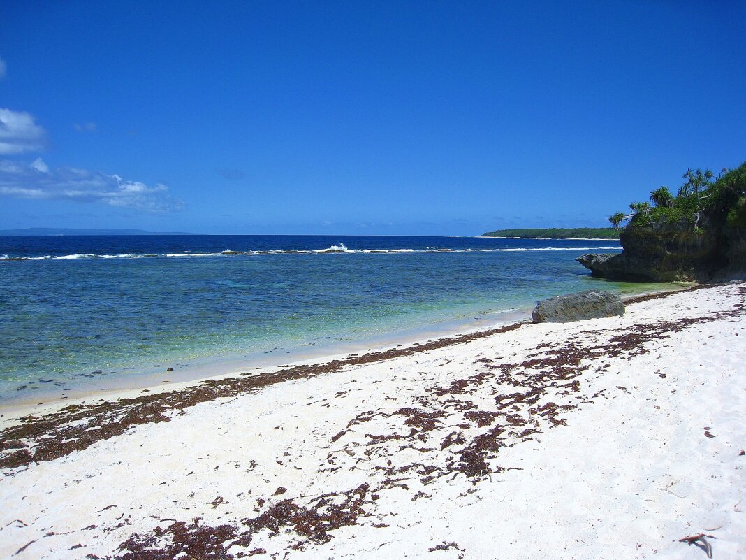 Дикий пляж на острове Тонгатапу. - unix (Илья Утропов)