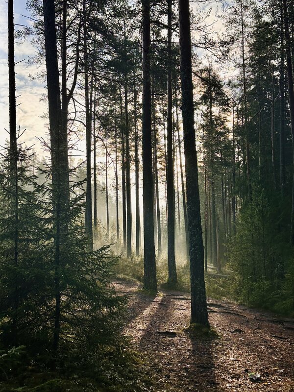 Утро октября - Анна 