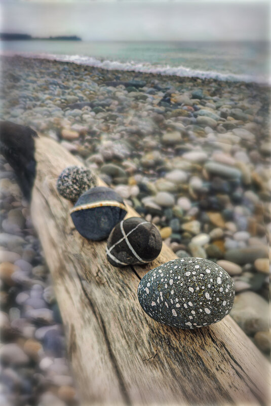 Собирать камни! - AZ east3