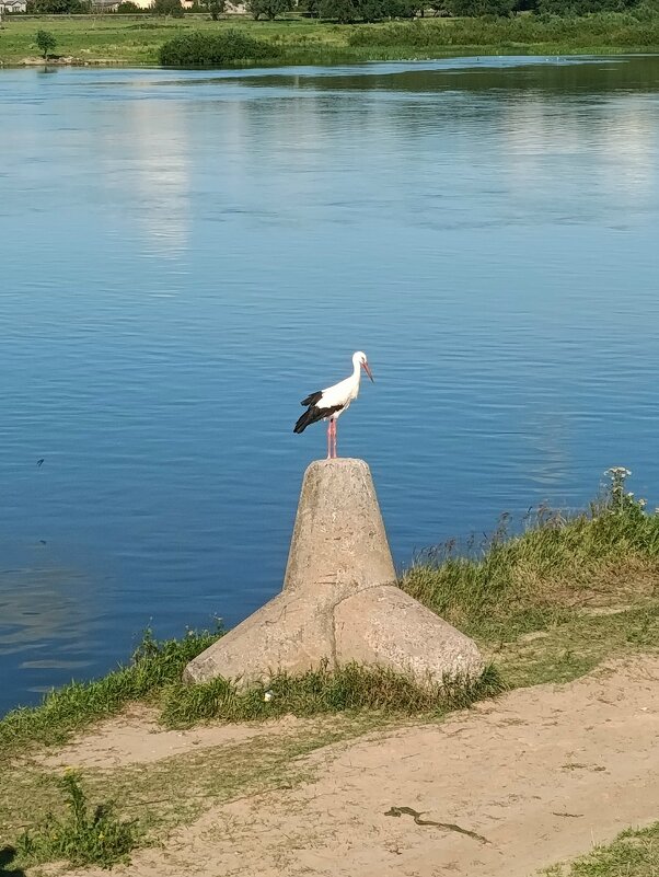 "Высоко сижу, далеко гляжу!" - Людмила Жданова