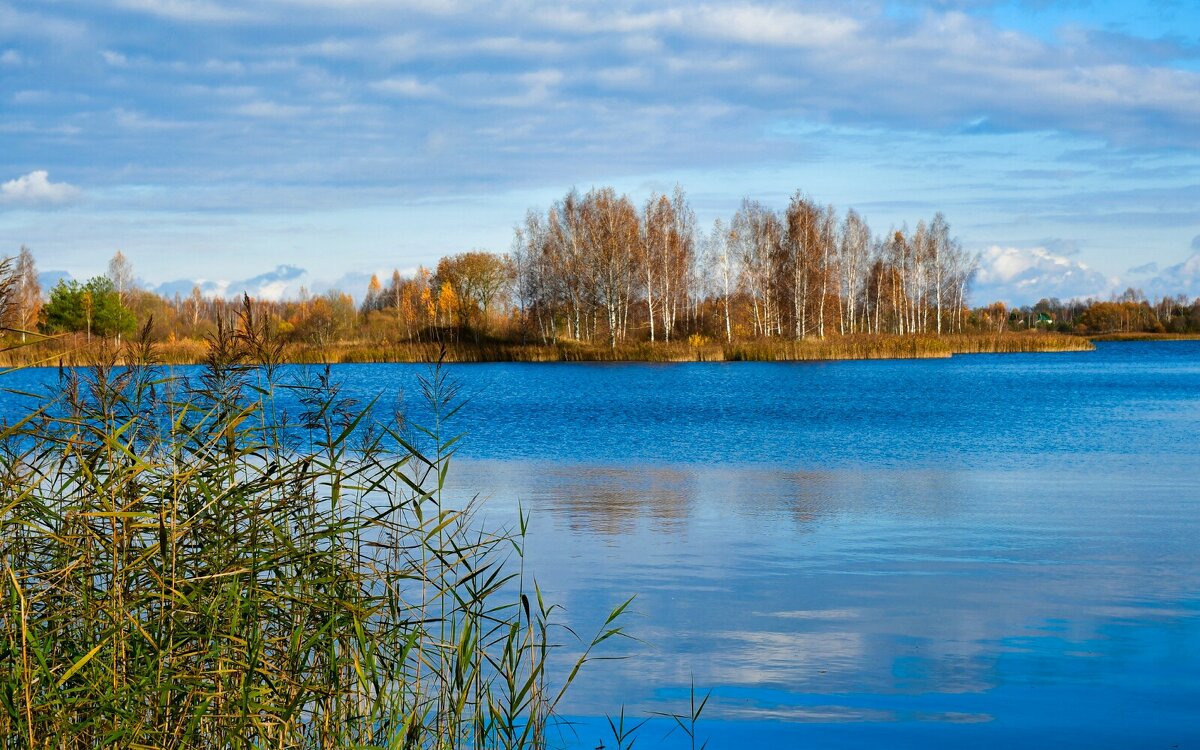 Смоленские озёра (репортаж из поездок по области). - Милешкин Владимир Алексеевич 