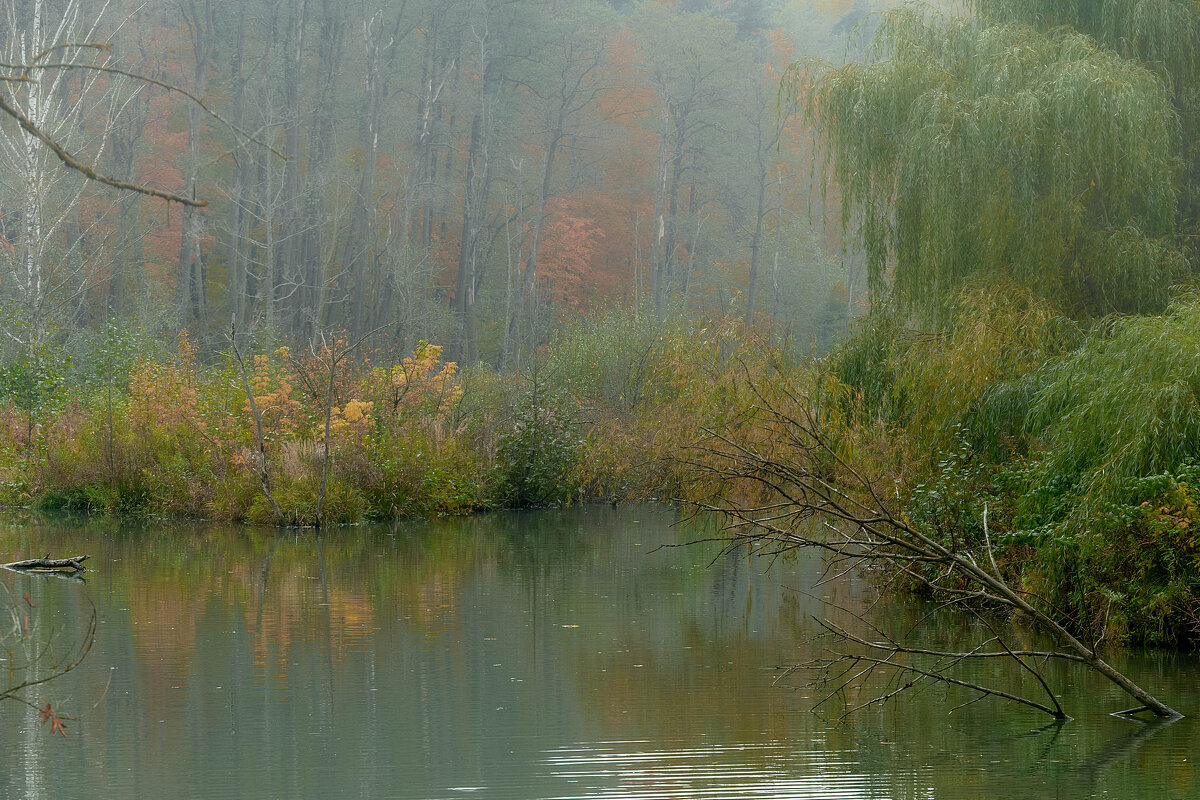 Осеннее утро - Александр Орлов