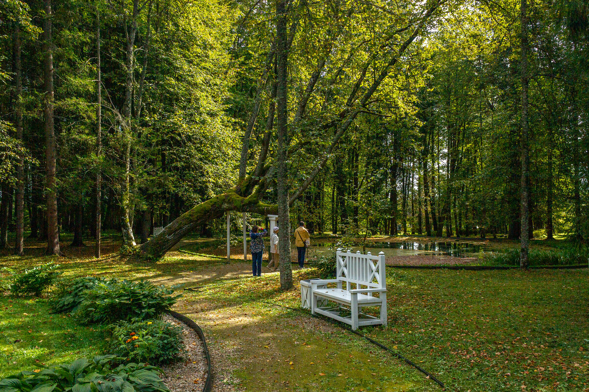 Берново. "Круглый пруд". - Михаил "Skipper"