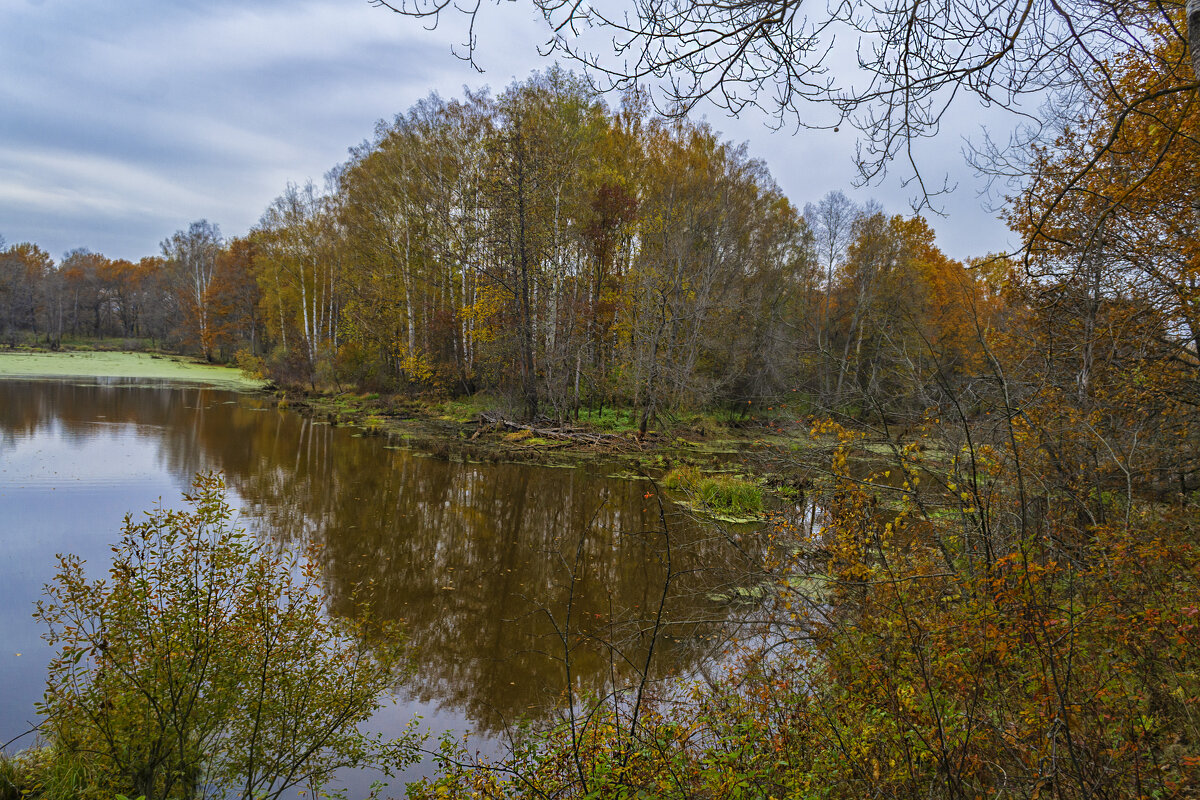 У лесного озера - Сергей Цветков