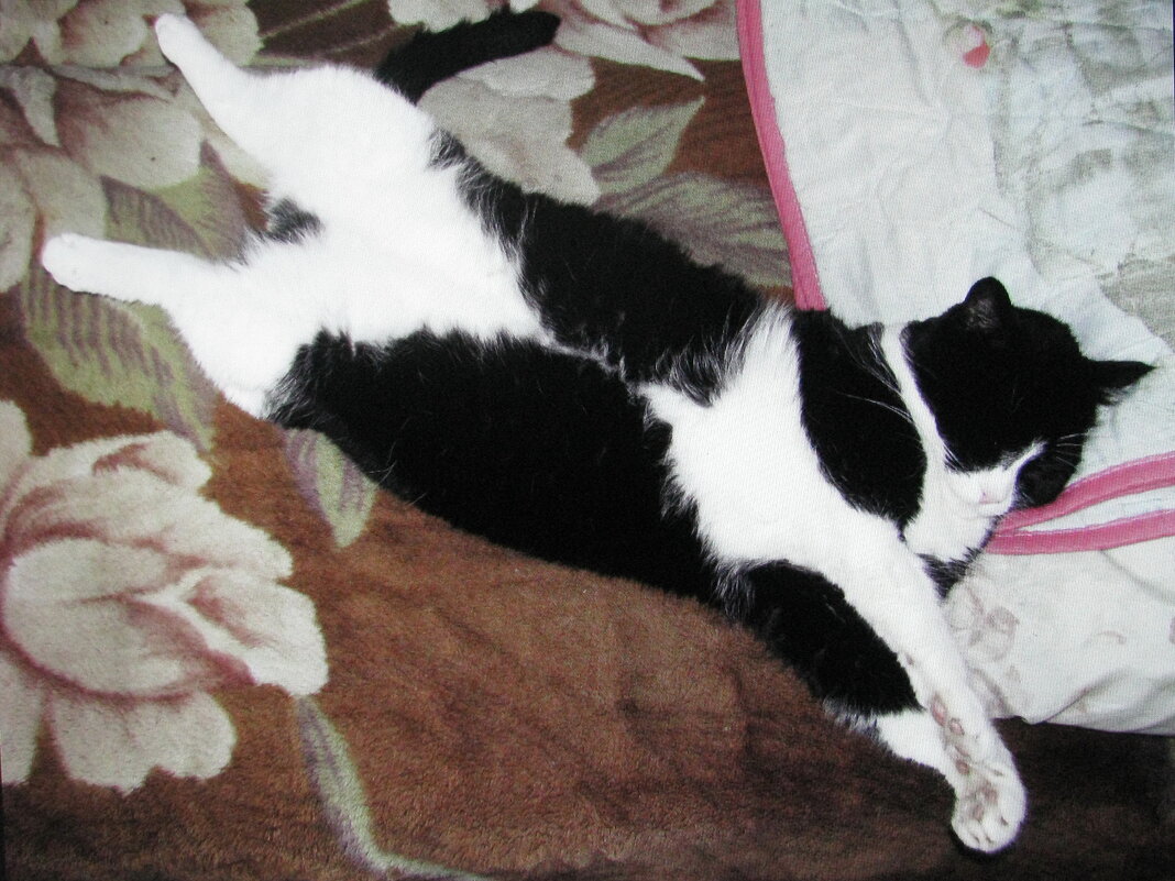 Полный кайф - Людмила Смородинская