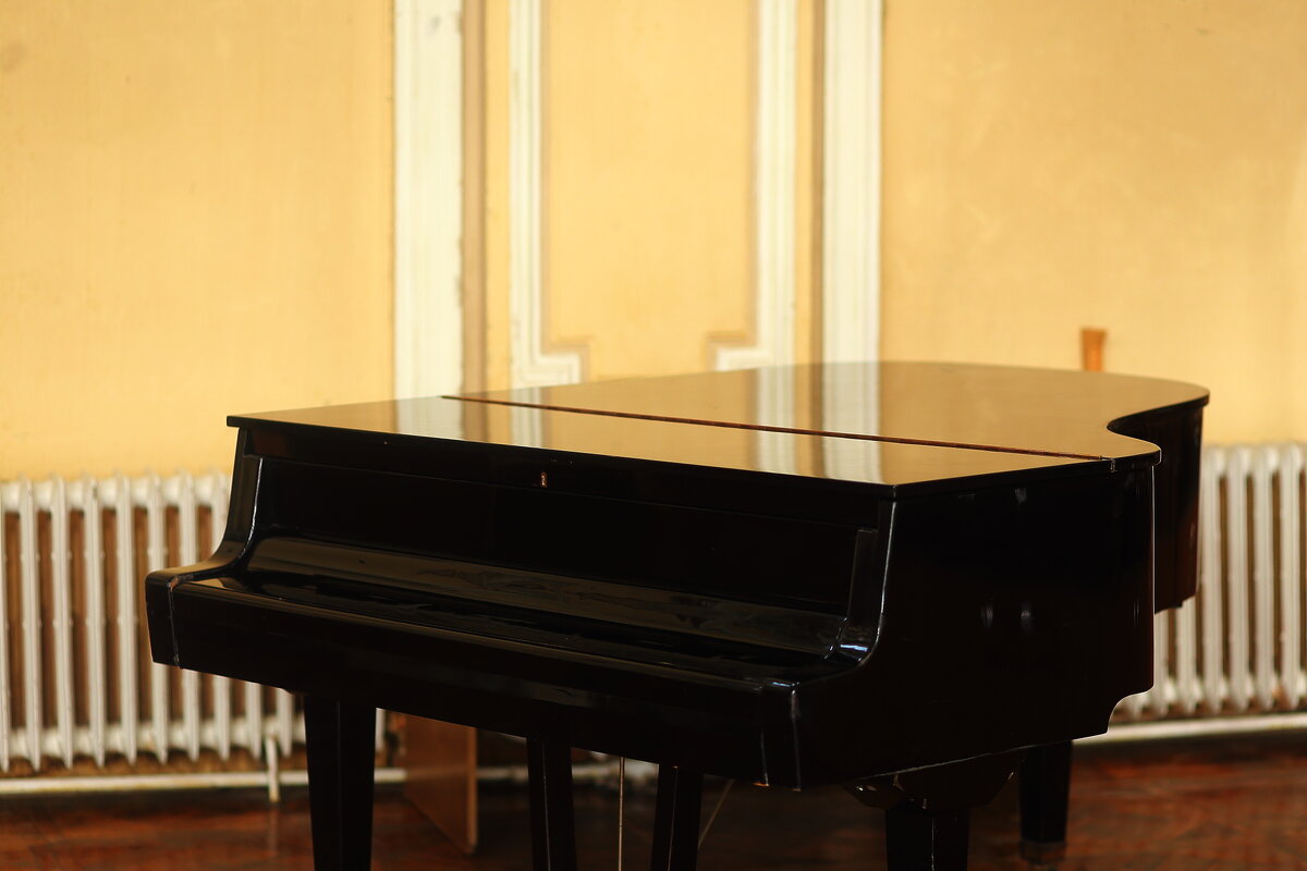 Музыкальный зал - Юрий Гайворонскiий