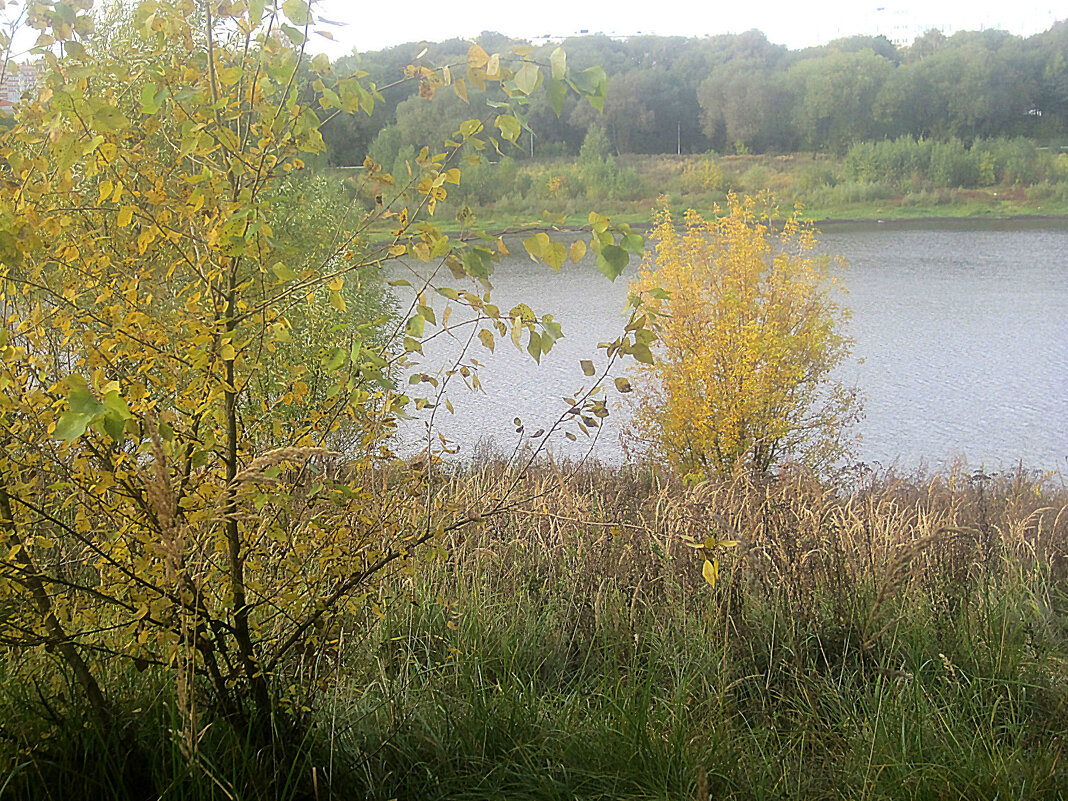 У озера - Елена Семигина