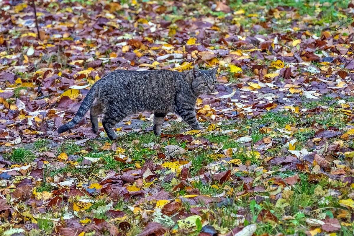 Октябрь - это не март - Валерий Иванович Октябрь - это не март - Валерий Иванович