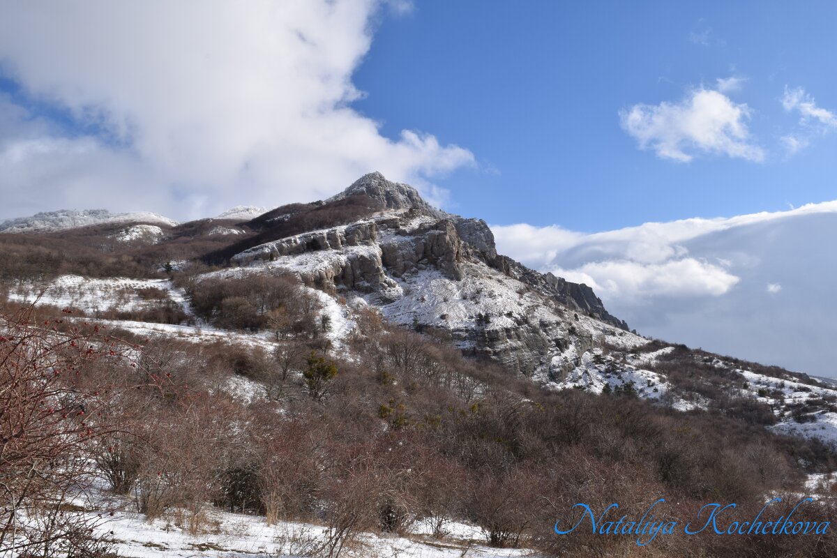 Природа Крыма - Amazing Cosmea