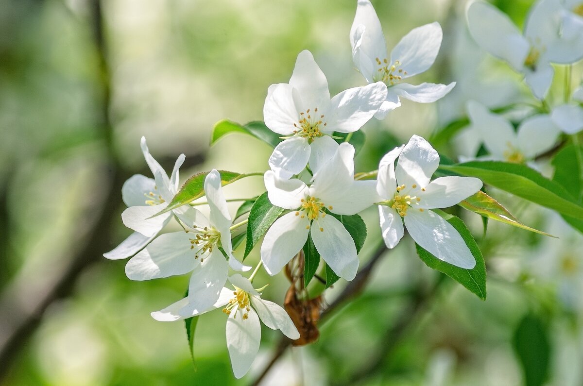 *** - Виктор Иванович Чернюк