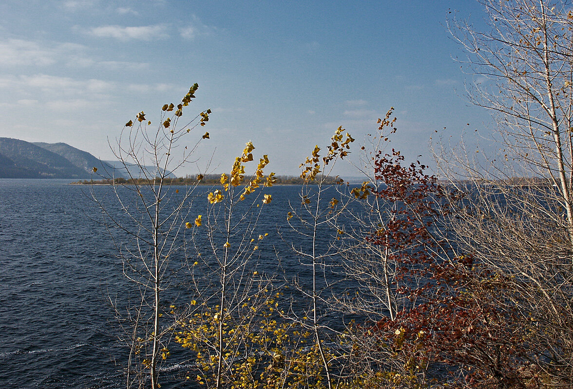 Последние листья - MILAV V