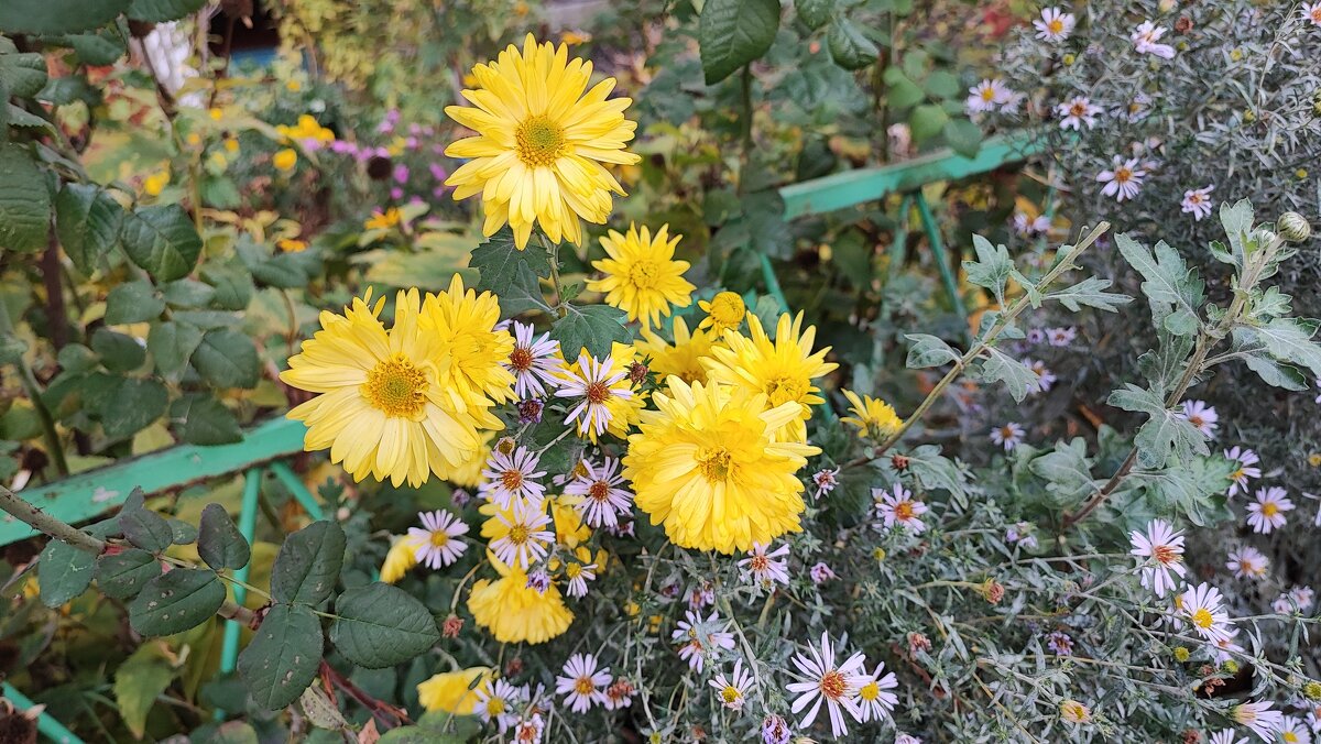 ,,, - Сергей Тимоновский