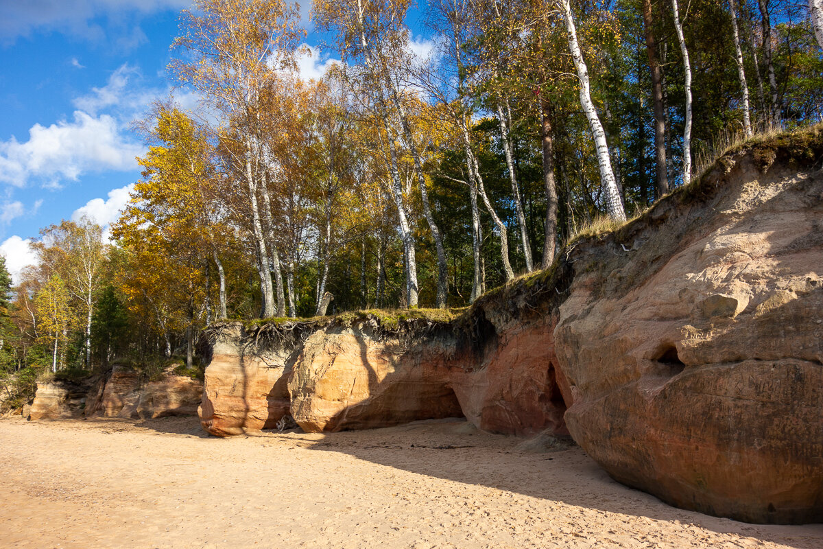 *** - Геннадий Порохов