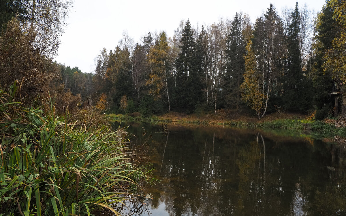 У Тихой Воды - юрий поляков
