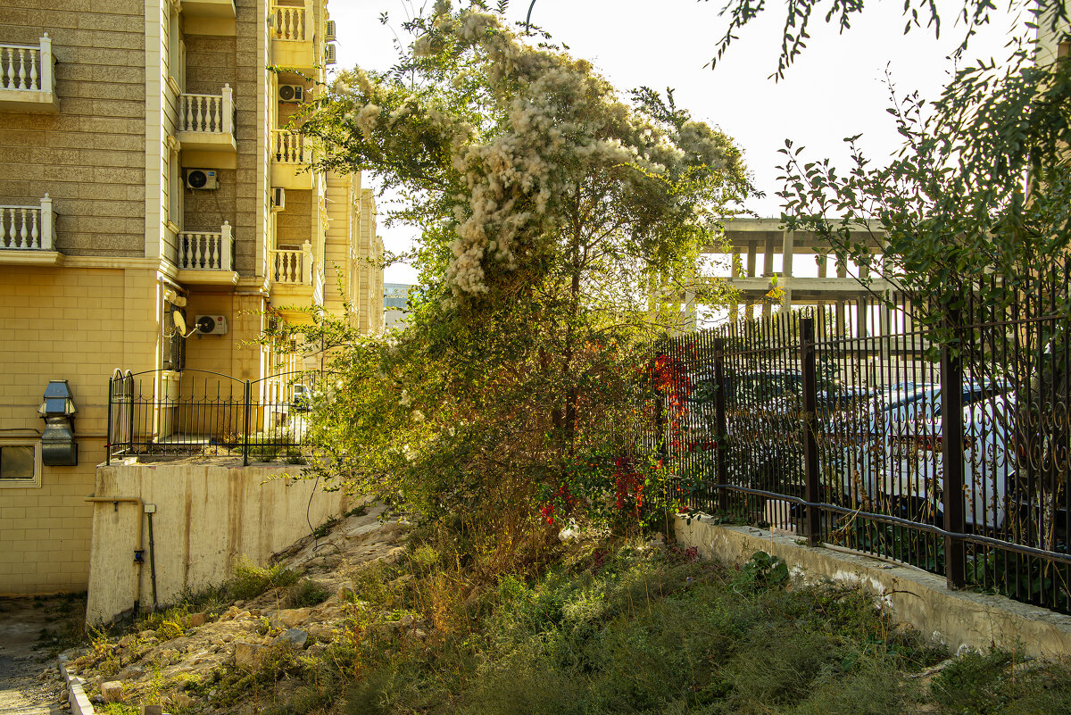 На бугре - Анатолий Чикчирный