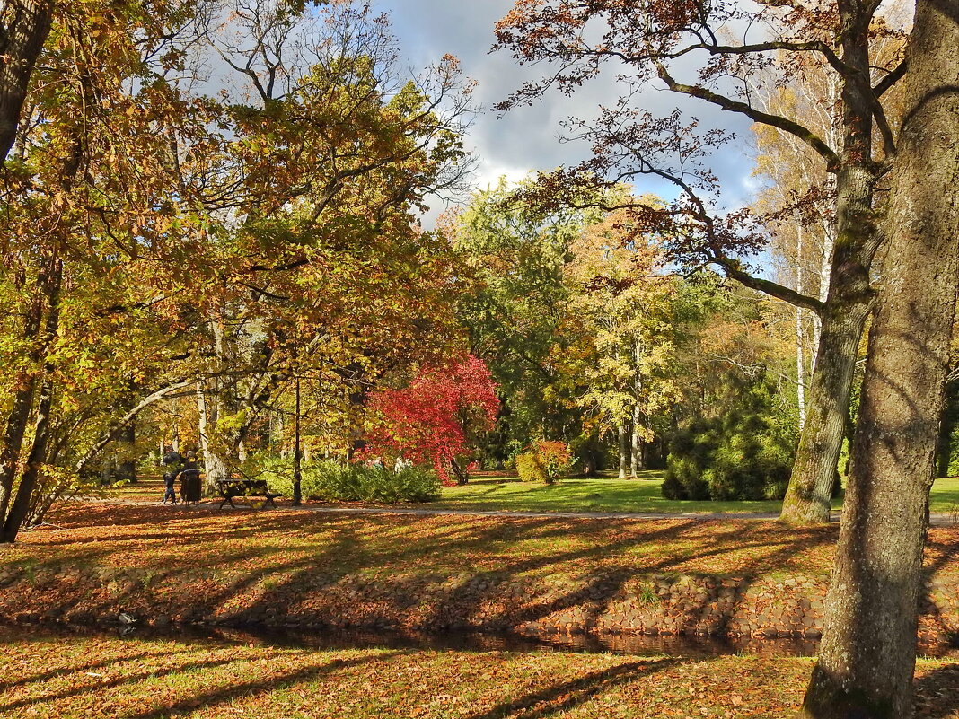 осень - ИННА ПОРОХОВА