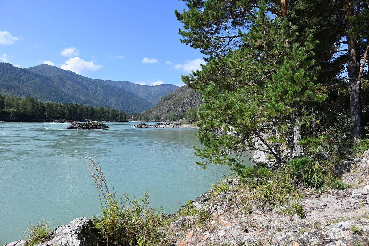 Катунь - Валерий Медведев Катунь - Валерий Медведев