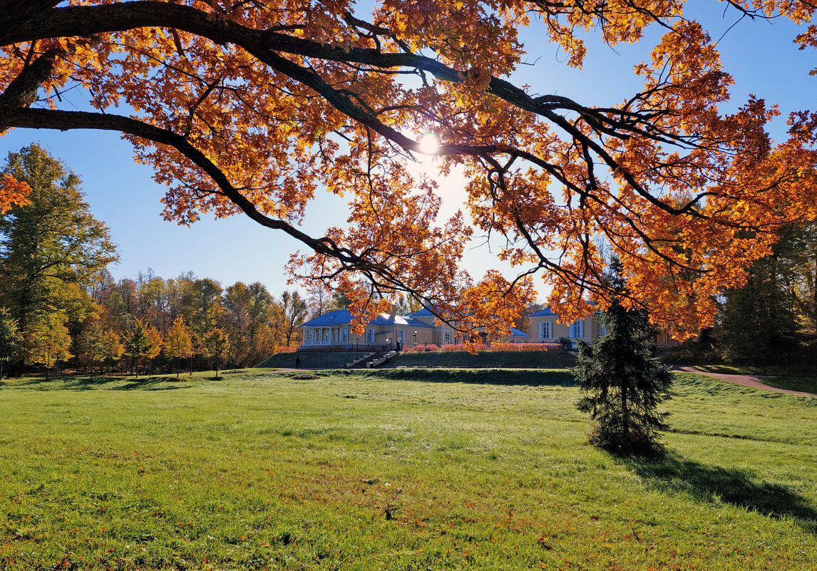 Монрепо - Ирина Румянцева