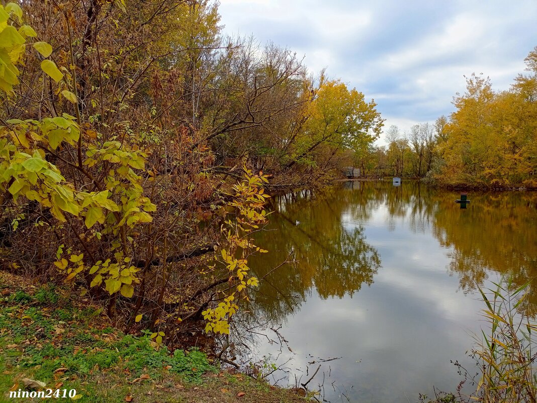 Октябрь в ростовском зоопарке - Нина Бутко