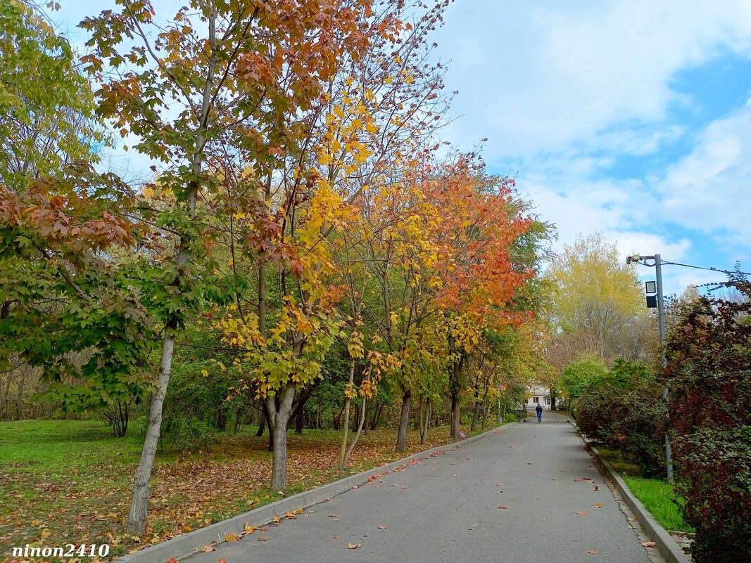 Октябрь в ростовском зоопарке - Нина Бутко