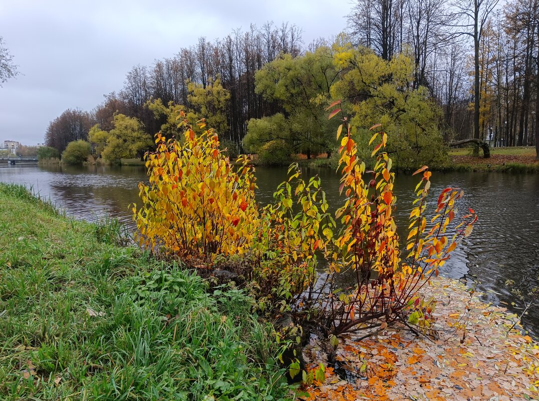 Картинка октября - Мария Васильева