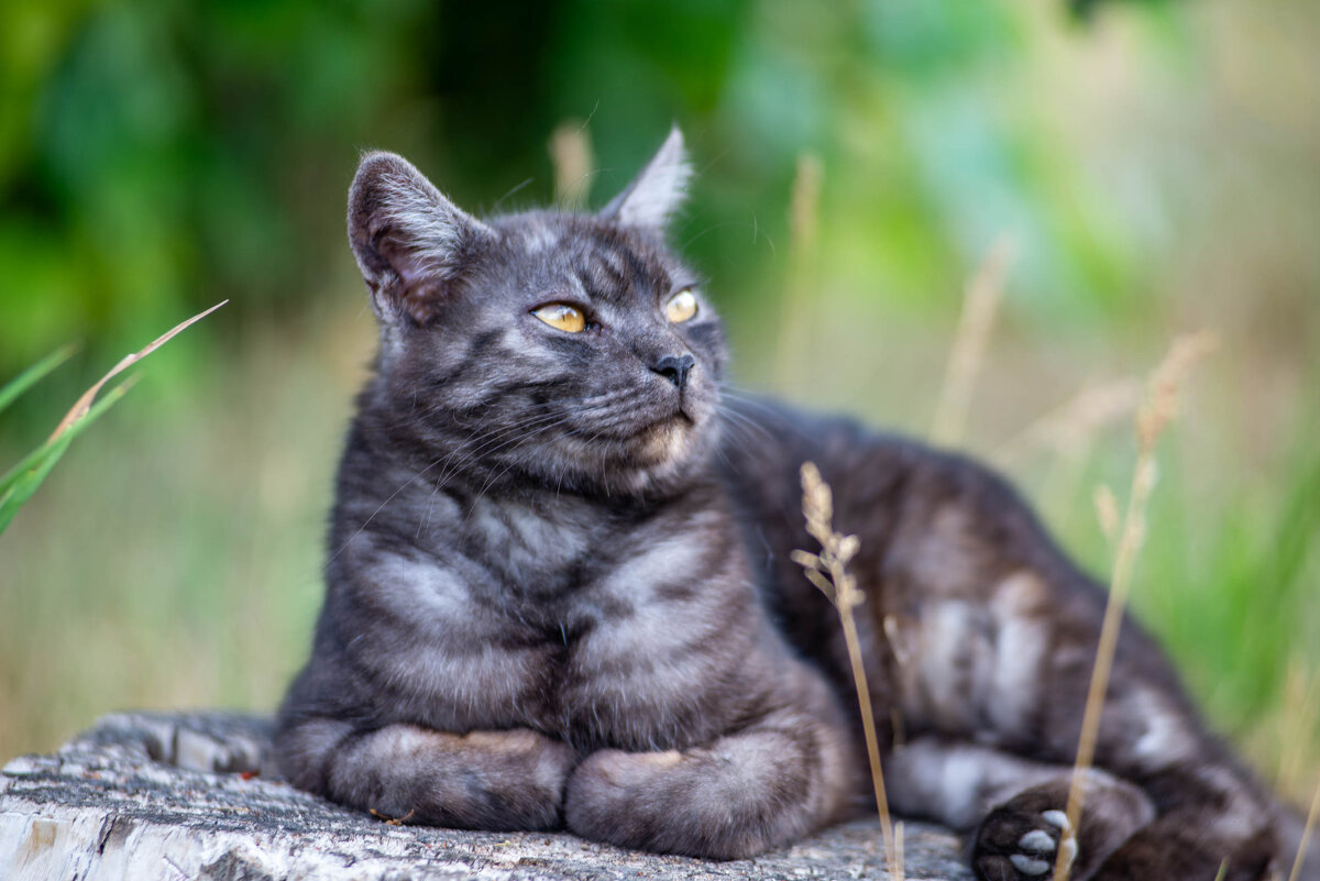 Философ - Владимир Иванович