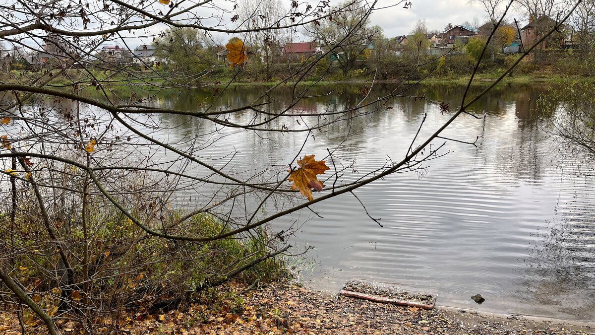 ***осенний пейзаж*** - Olga Oskolkova