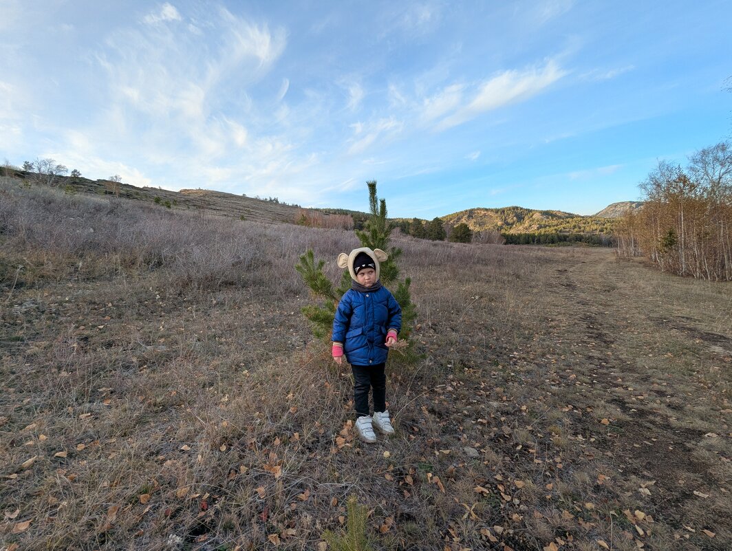 Марьяна и сосенка. - Андрей Хлопонин Марьяна и сосенка. - Андрей Хлопонин