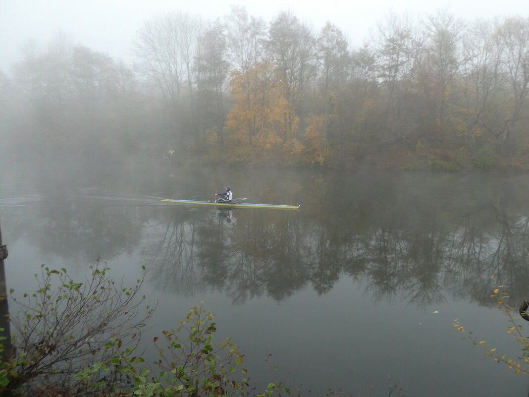 ------------ - igor G.