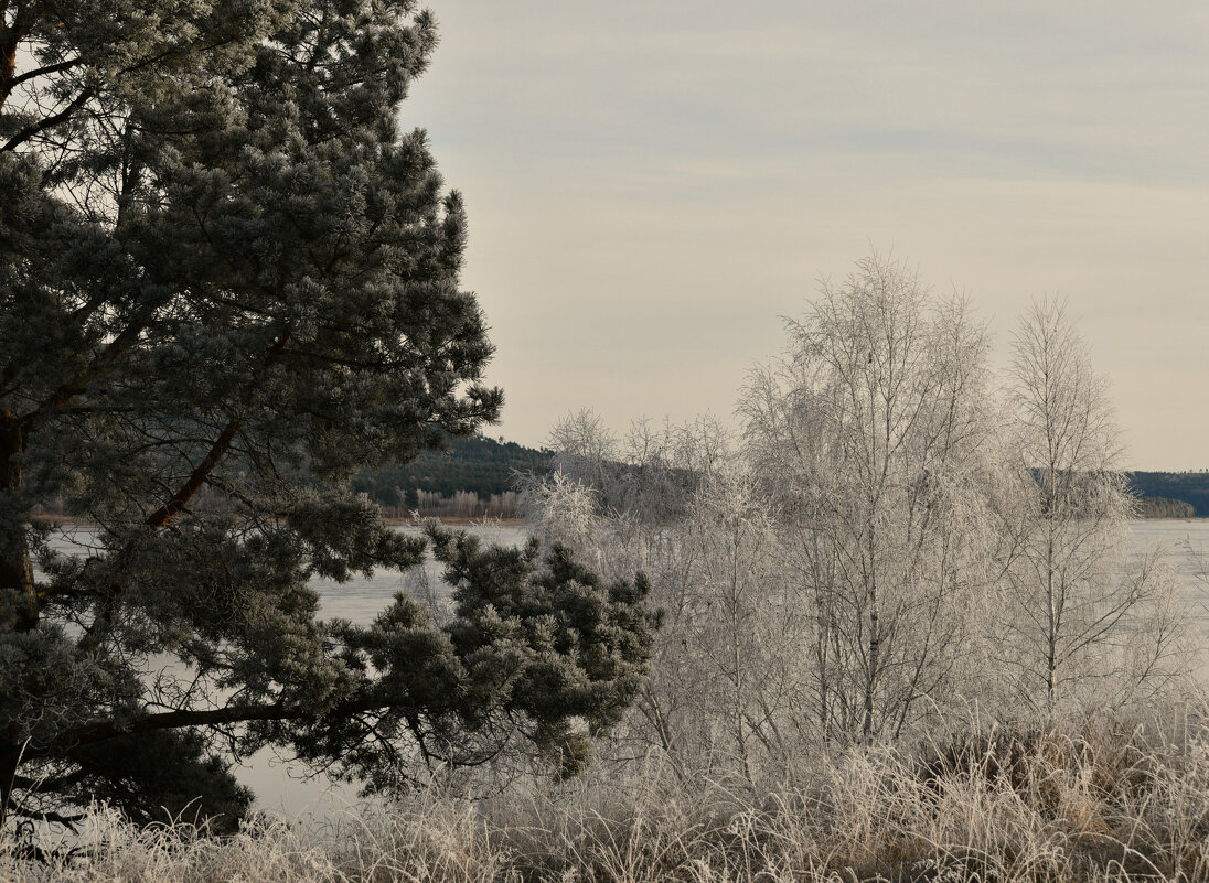 Осенний заморозок - Сергей Шаврин